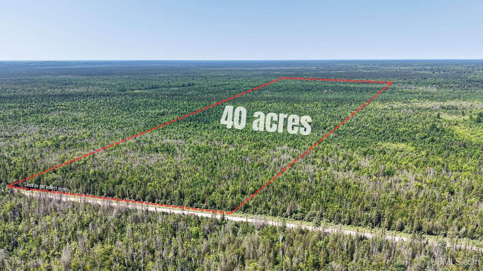40 Acres of Recreational & Residential Land for Sale in McMillan, Michigan