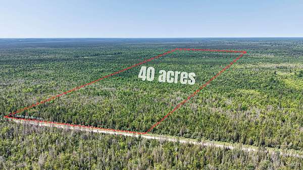 40 Acres of Recreational & Residential Land for Sale in McMillan, Michigan