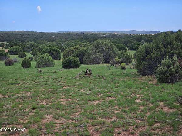 3.86 Acres of Land for Sale in Clay Springs, Arizona