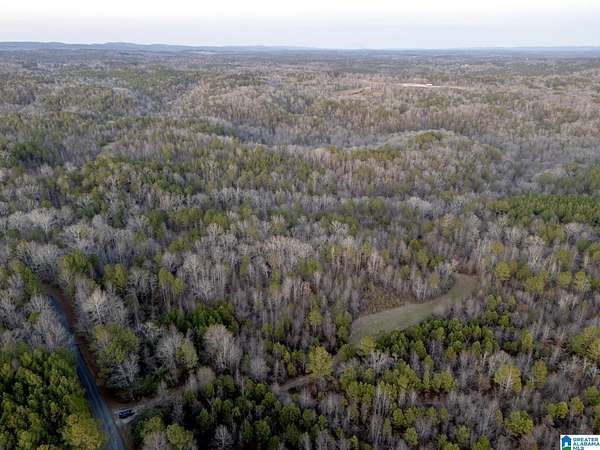 317 Acres of Land for Sale in Gardendale, Alabama