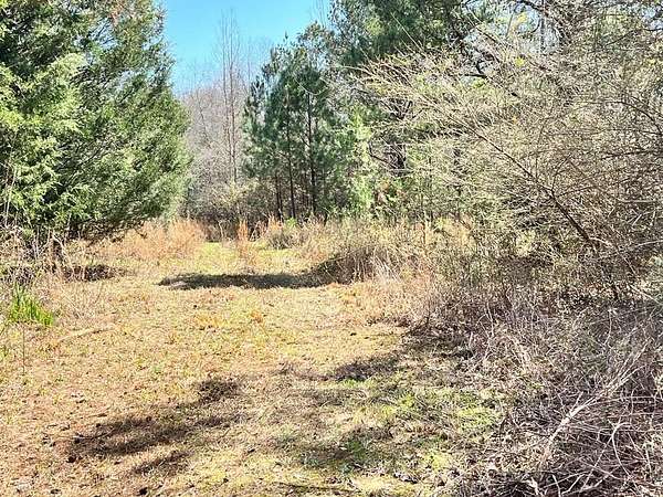 62.5 Acres of Land for Sale in Eufaula, Alabama