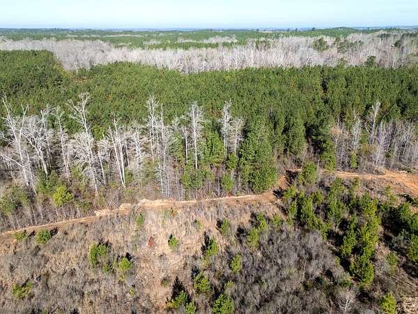 285 Acres of Land for Sale in Eufaula, Alabama