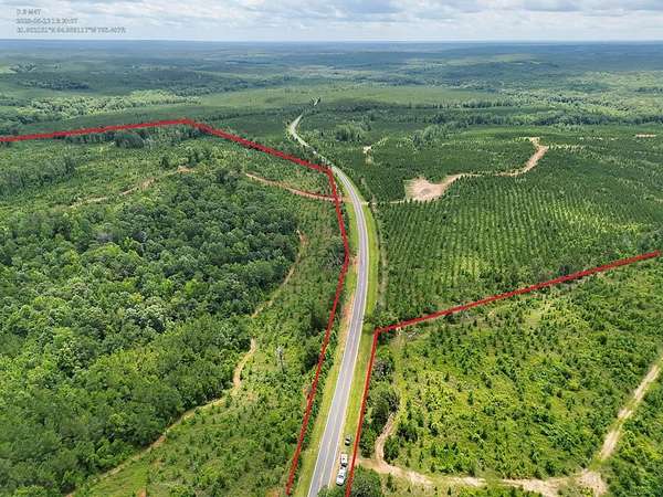 191 Acres of Recreational Land for Sale in Georgetown, Georgia
