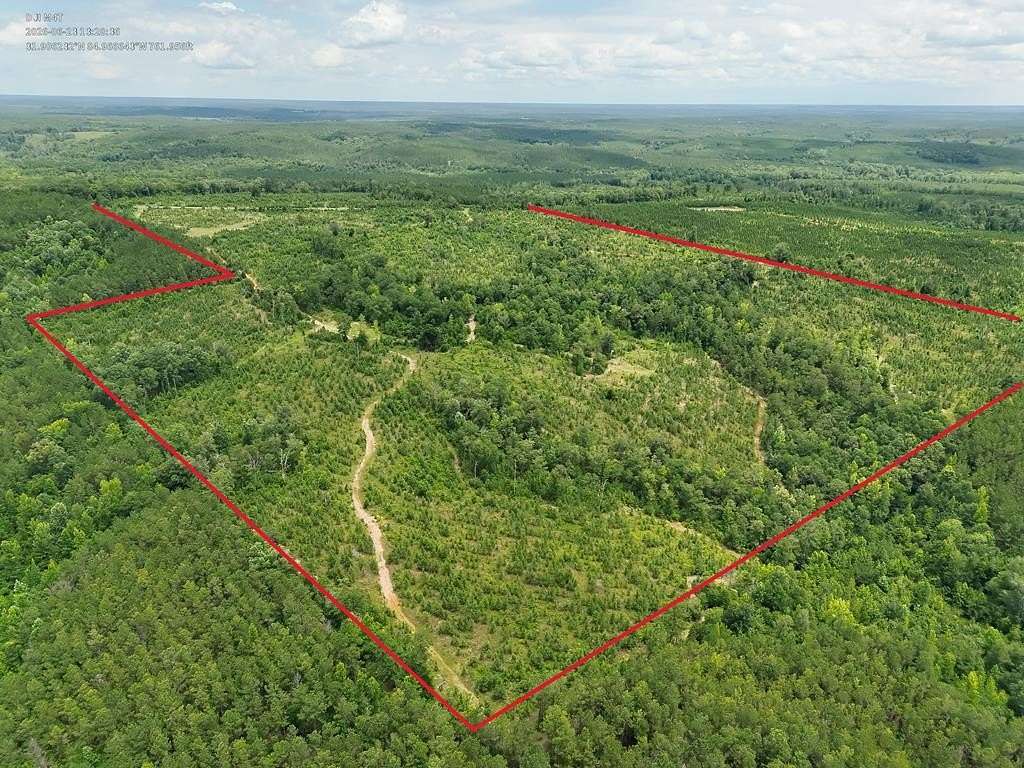 71 Acres of Recreational Land for Sale in Georgetown, Georgia
