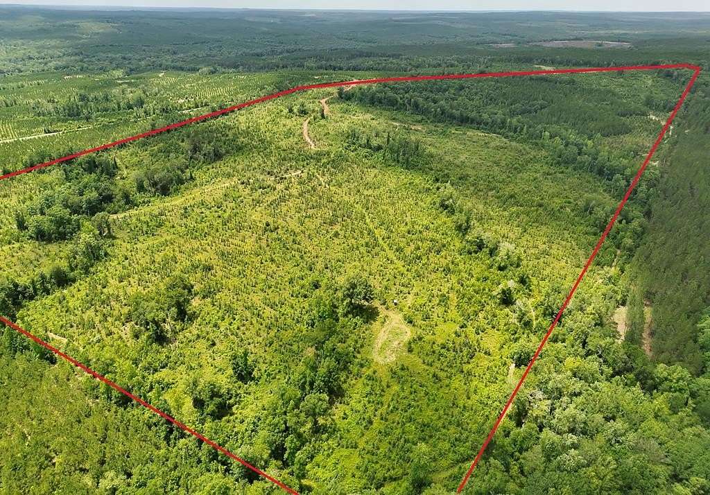 120 Acres of Recreational Land for Sale in Georgetown, Georgia