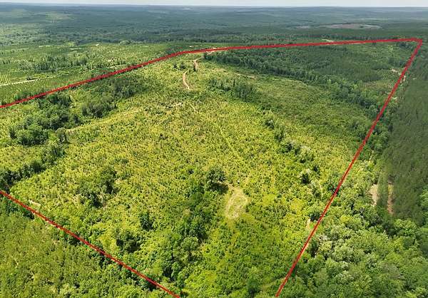 120 Acres of Recreational Land for Sale in Georgetown, Georgia
