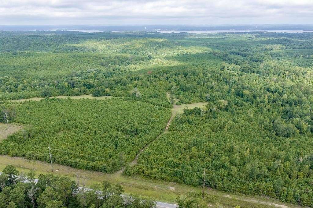 133 Acres of Recreational Land for Sale in Georgetown, Georgia