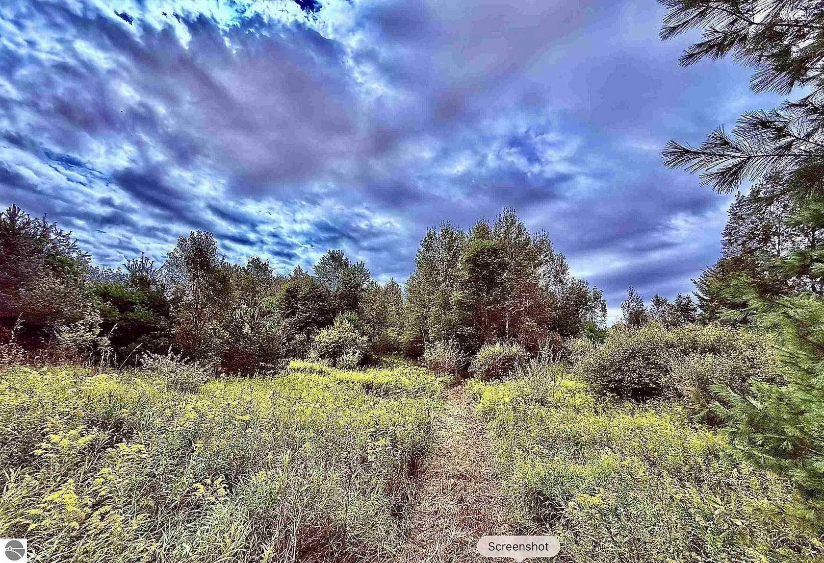 21.6 Acres of Recreational & Residential Land for Sale in Kingsley, Michigan