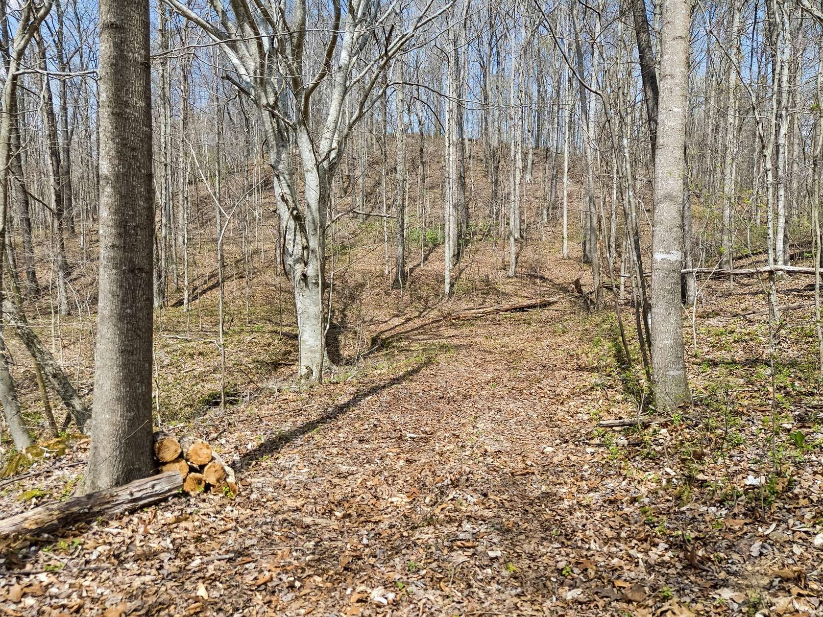 38.4 Acres of Land for Sale in Westmoreland, Tennessee