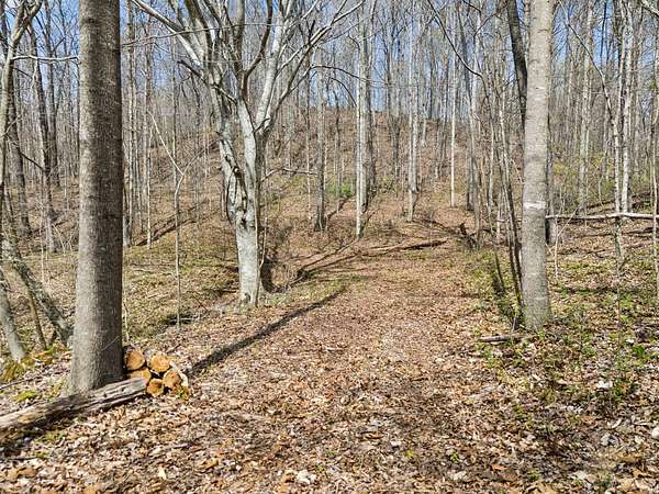 38.4 Acres of Land for Sale in Westmoreland, Tennessee