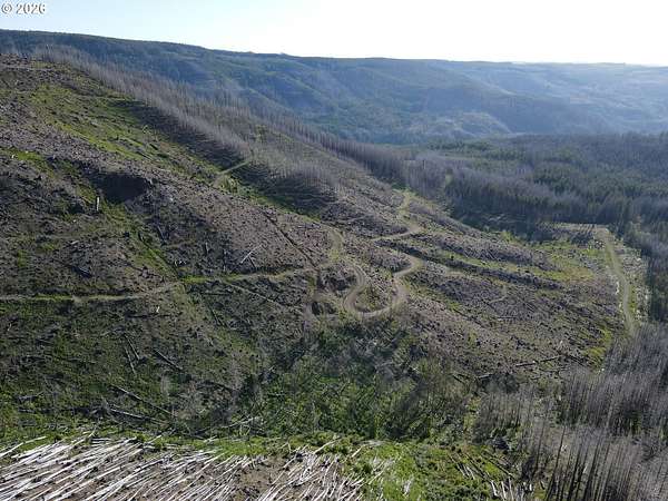 163 Acres of Recreational Land for Sale in Molalla, Oregon