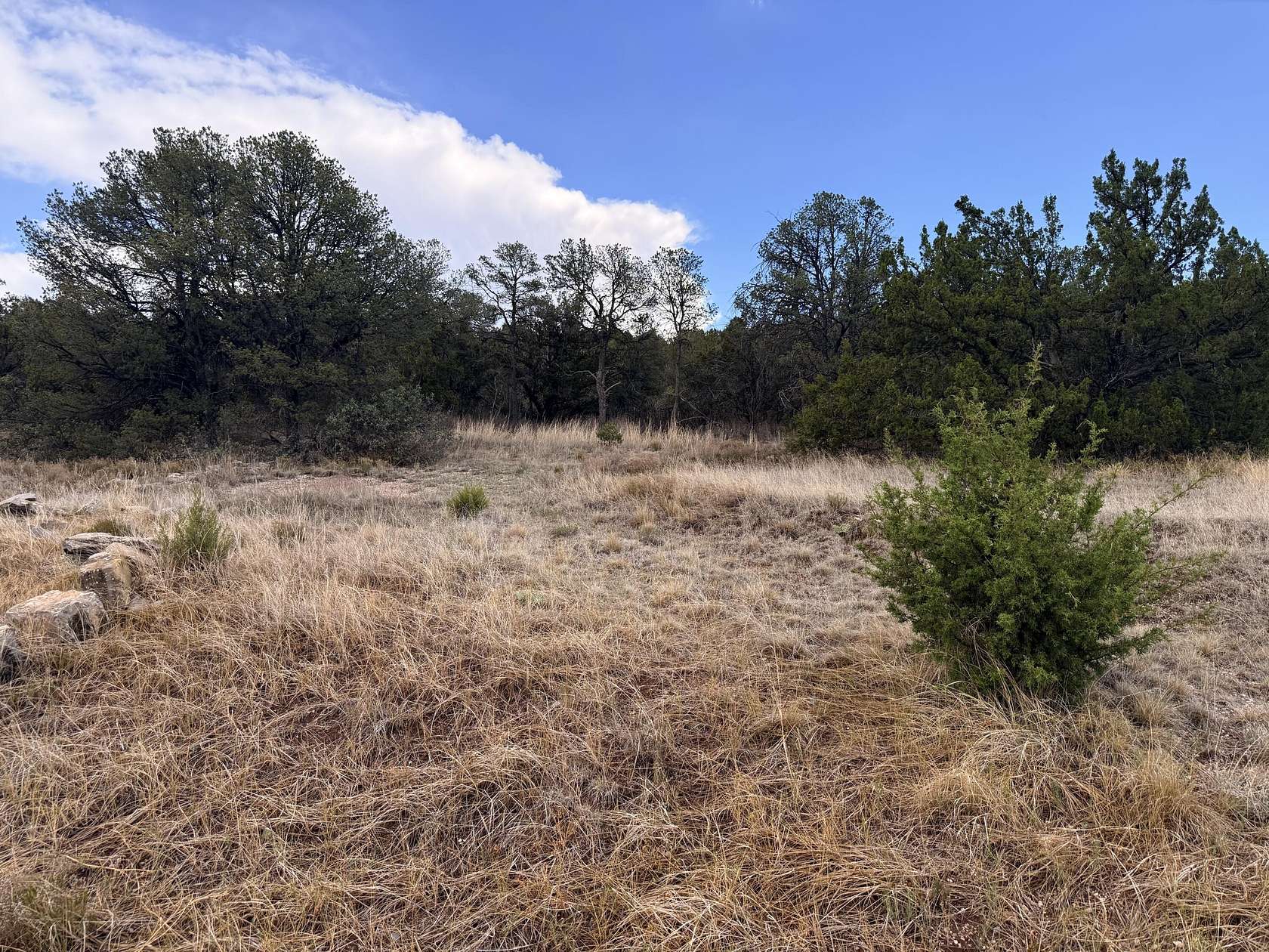 2 Acres of Land for Sale in Edgewood, New Mexico