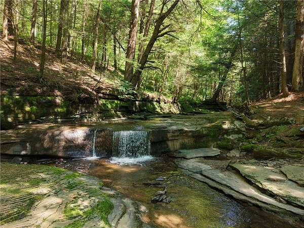 4.35 Acres of Residential Land for Sale in Delhi, New York