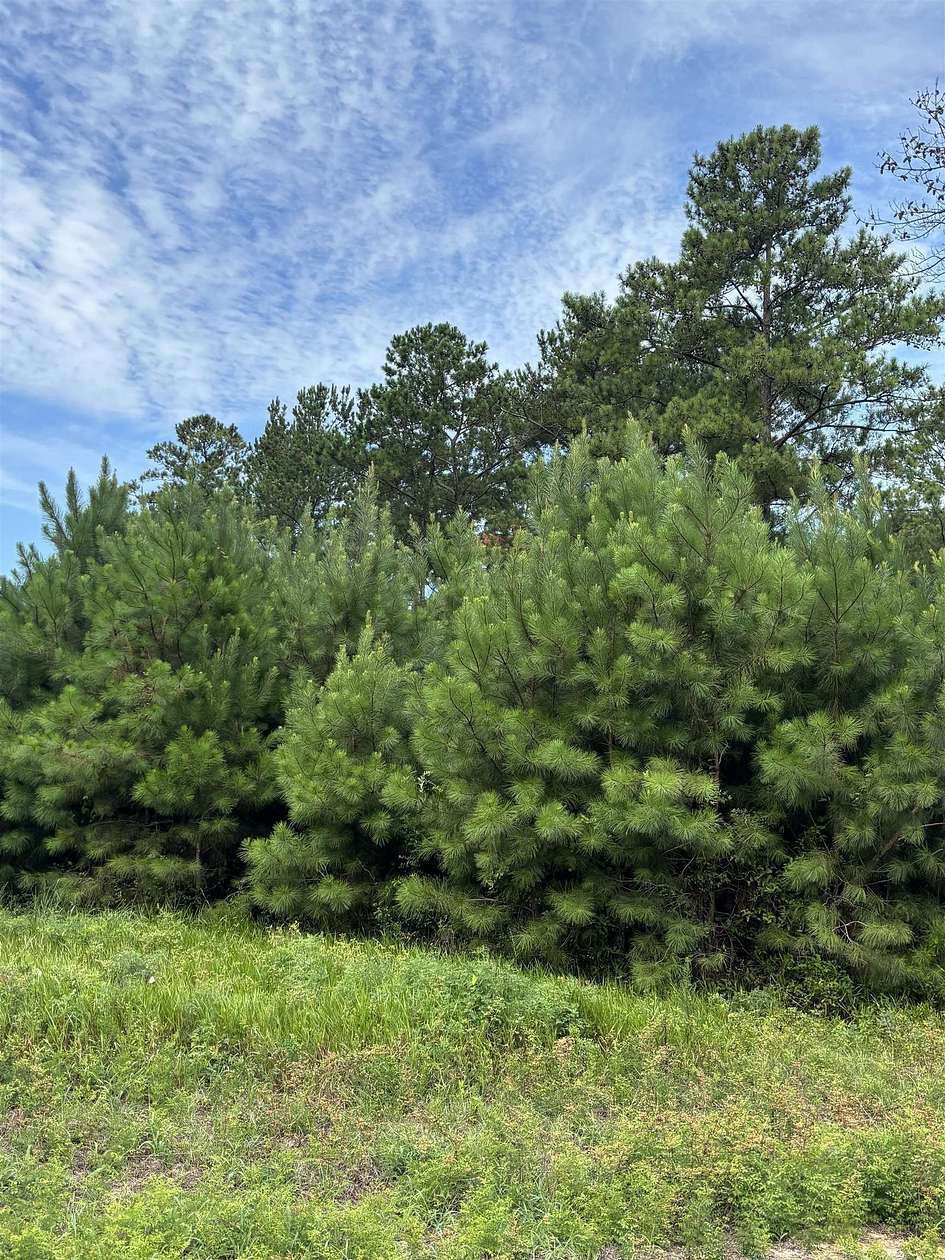 3.5 Acres of Land for Sale in Andalusia, Alabama
