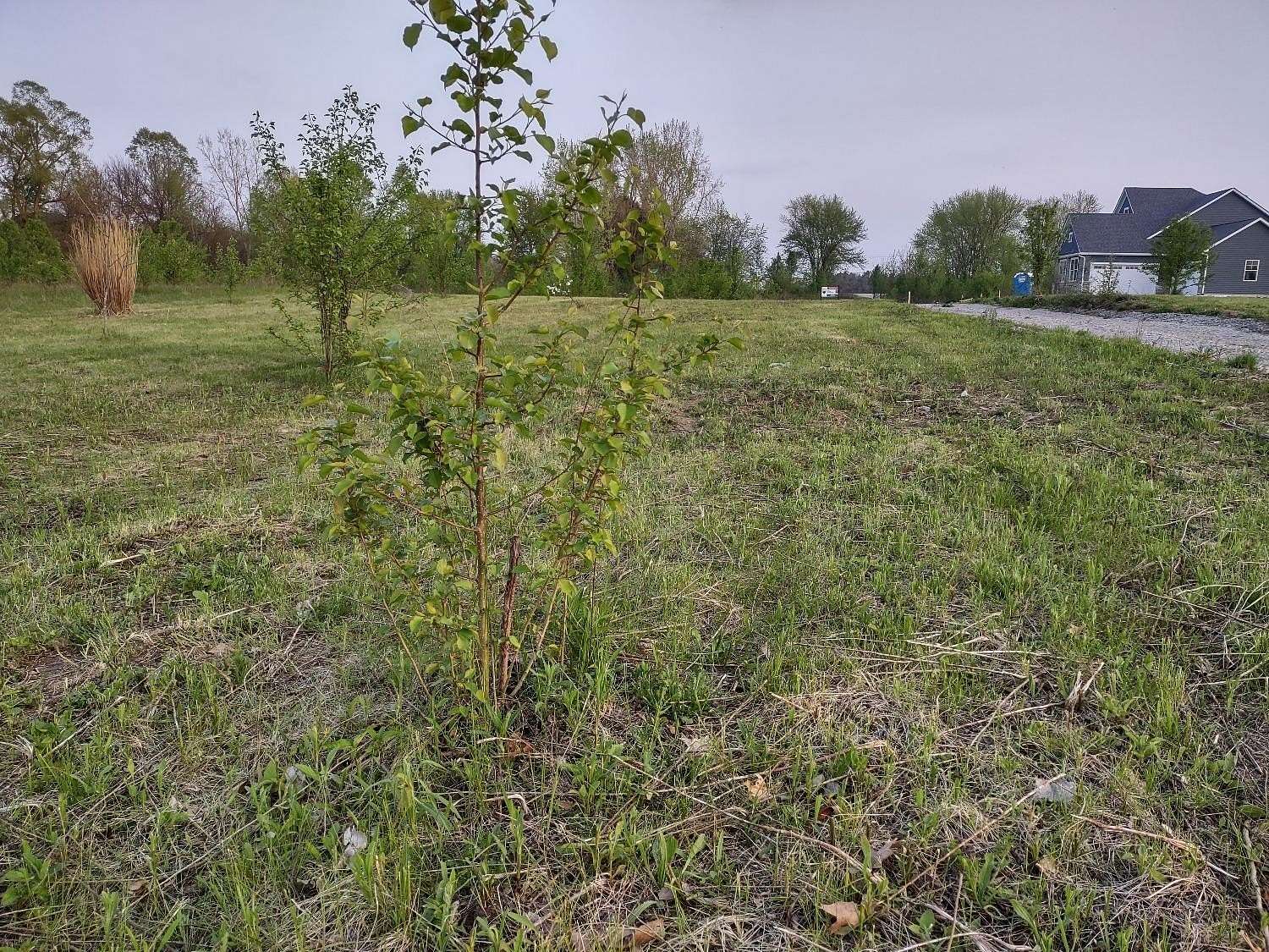 1.45 Acres of Residential Land for Sale in Valparaiso, Indiana