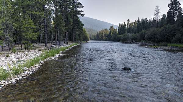 166 Acres of Recreational Land for Sale in Darby, Montana