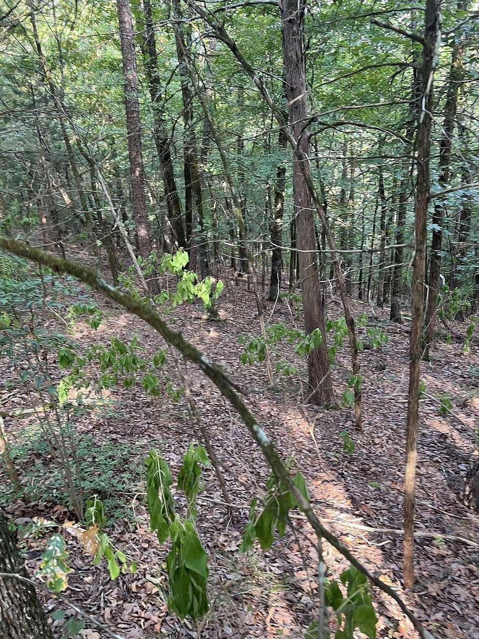1.3 Acres of Residential Land for Sale in Conway, Arkansas