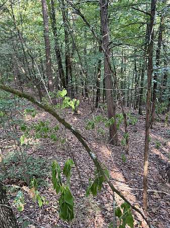 1.3 Acres of Residential Land for Sale in Conway, Arkansas
