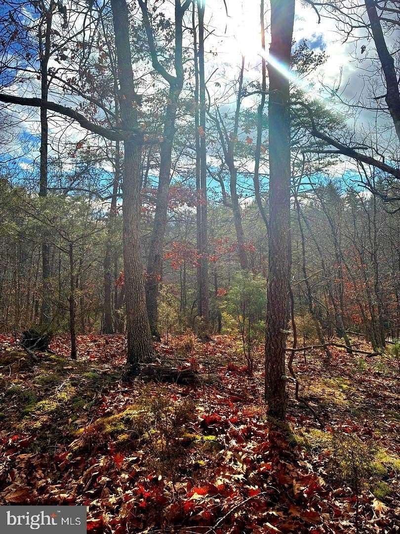0.92 Acres of Land for Sale in Basye, Virginia