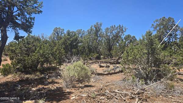 36 Acres of Recreational & Residential Land for Sale in Williams, Arizona