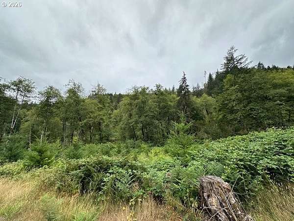 3 Acres of Residential Land for Sale in Ariel, Washington