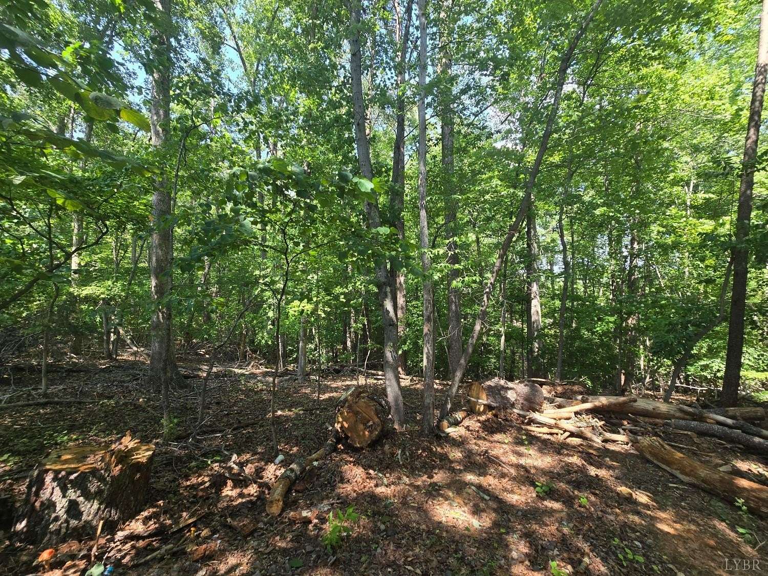 9 Acres of Residential Land for Sale in Huddleston, Virginia