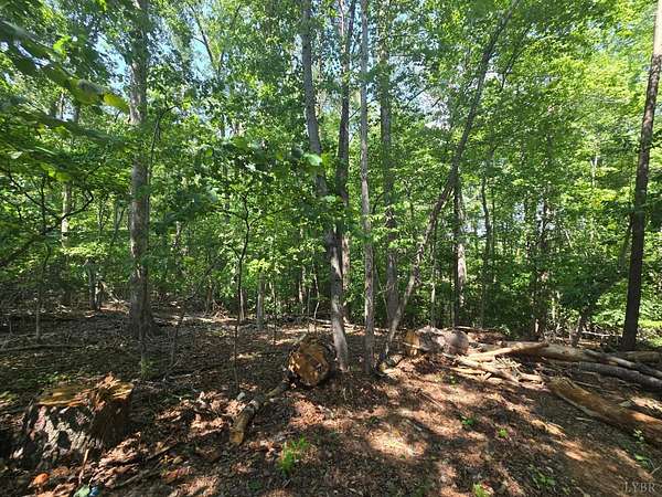 9 Acres of Residential Land for Sale in Huddleston, Virginia
