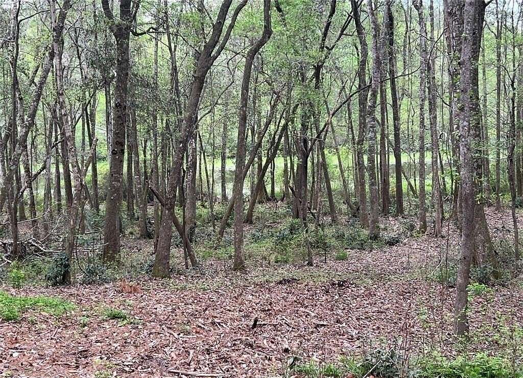 3.6 Acres of Residential Land for Sale in Andalusia, Alabama