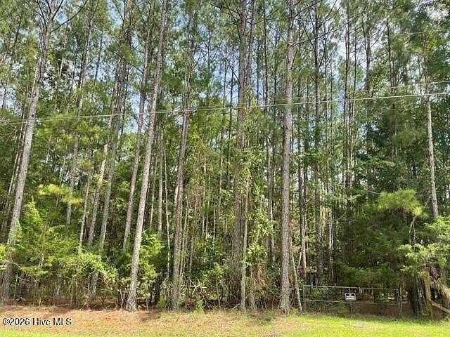 6.9 Acres of Residential Land for Sale in Appling, Georgia