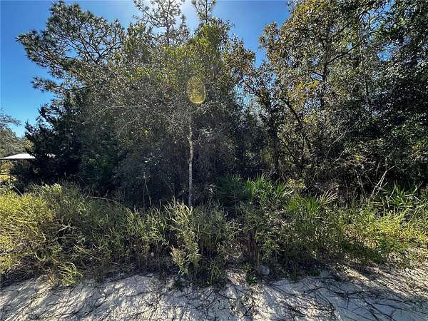 0.24 Acres of Residential Land for Sale in Bronson, Florida