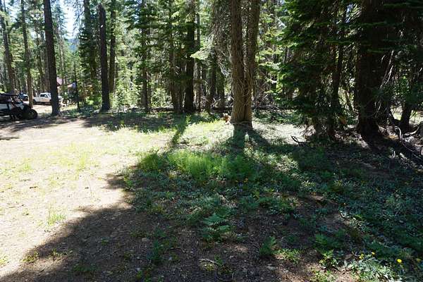 0.47 Acres of Residential Land for Sale in Bucks Lake, California