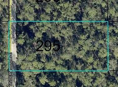 1.25 Acres of Land for Sale in Hastings, Florida