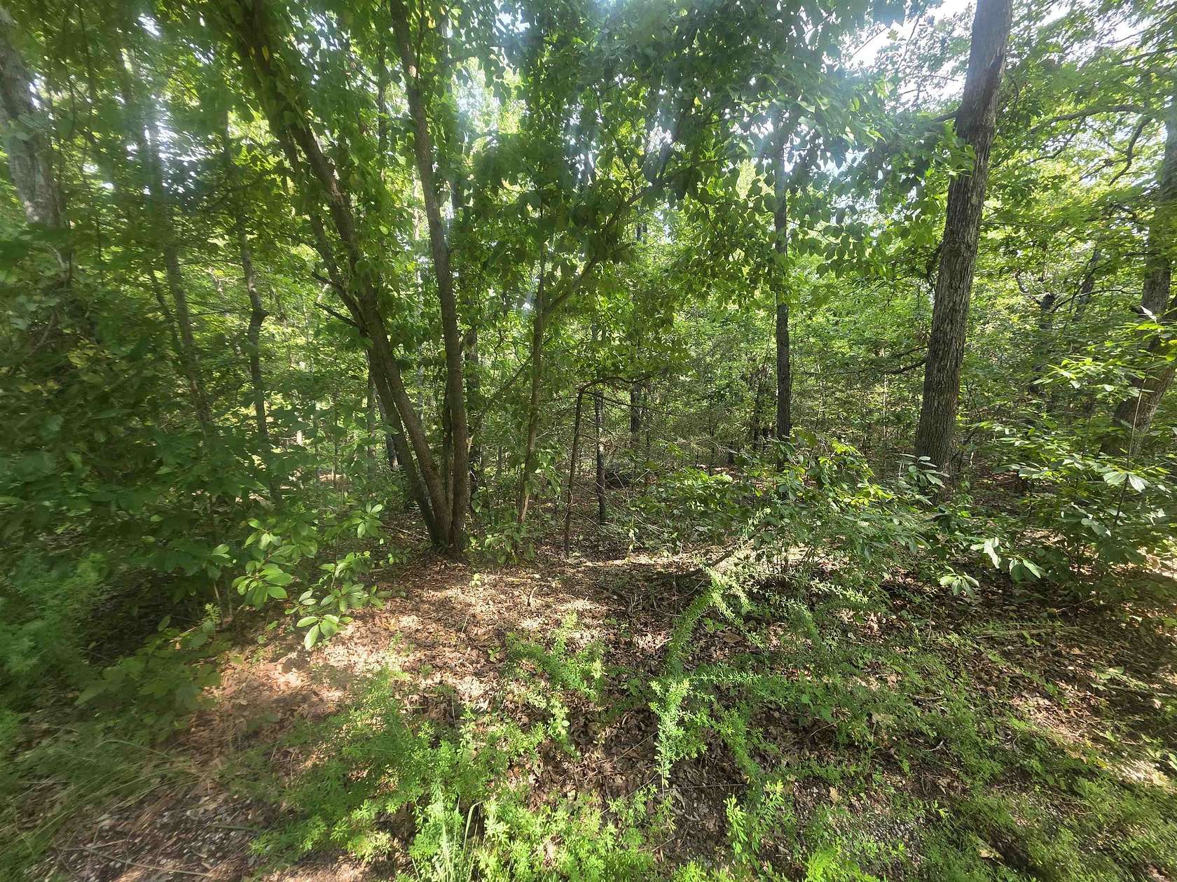 0.31 Acres of Residential Land for Sale in Cherokee Village, Arkansas