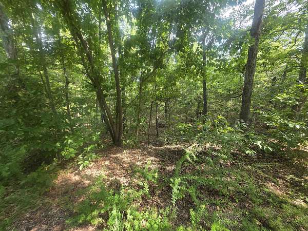0.31 Acres of Residential Land for Sale in Cherokee Village, Arkansas