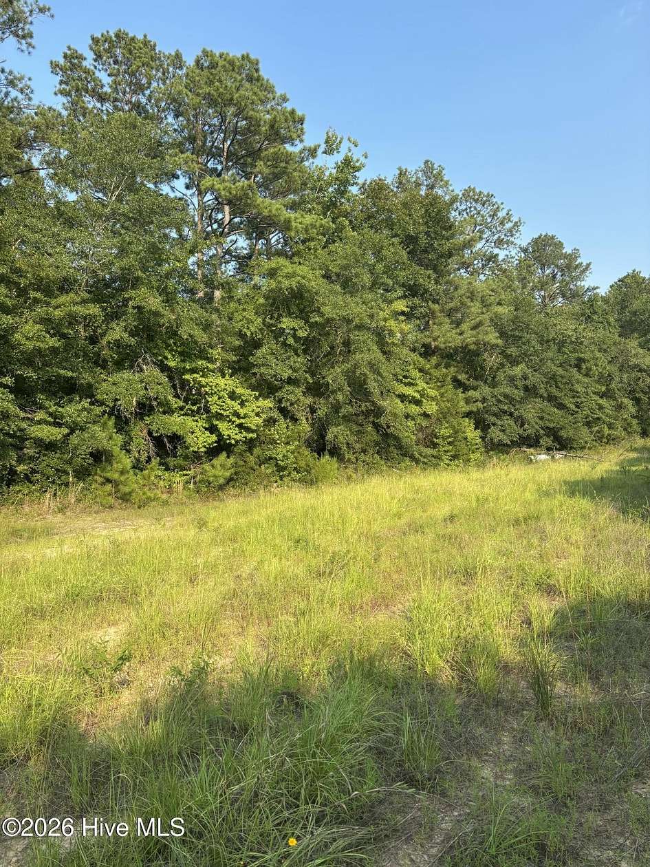 3 Acres of Land for Sale in Gibson, Georgia