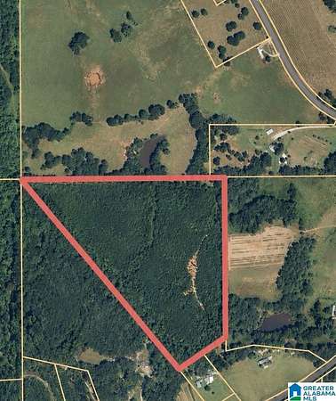 21.4 Acres of Recreational Land for Sale in Thorsby, Alabama