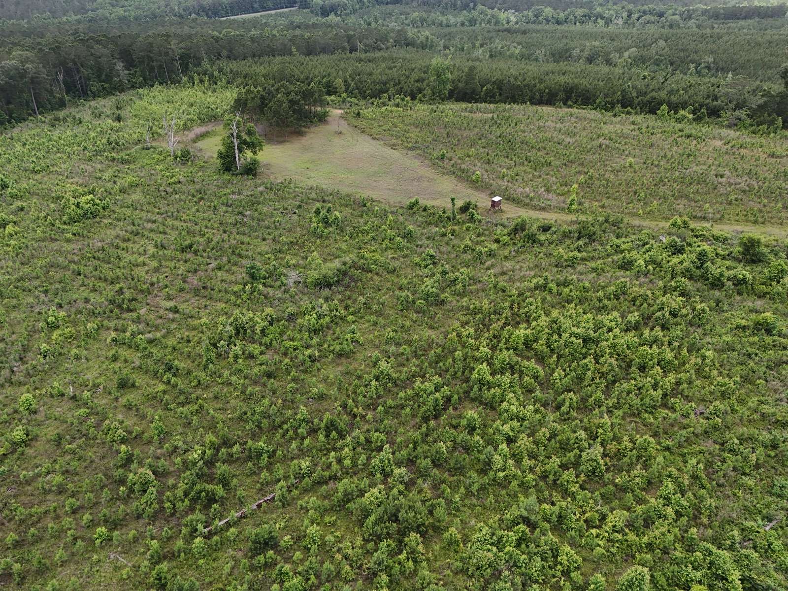 280 Acres of Land for Sale in Clopton, Alabama