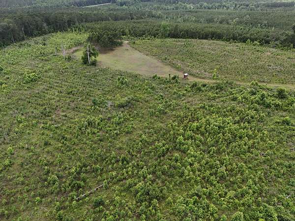 280 Acres of Land for Sale in Clopton, Alabama