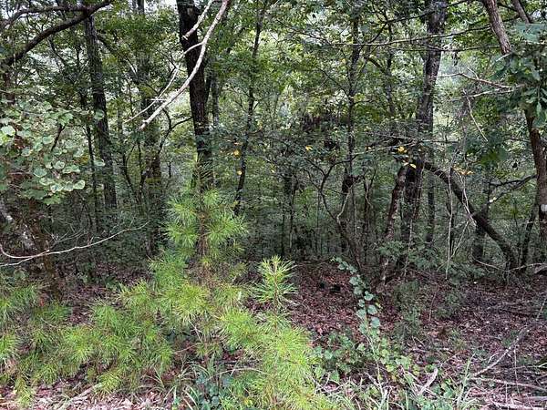 63 Acres of Recreational Land for Sale in Brookwood, Alabama