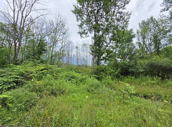 10 Acres of Land for Sale in Butternuts Town, New York