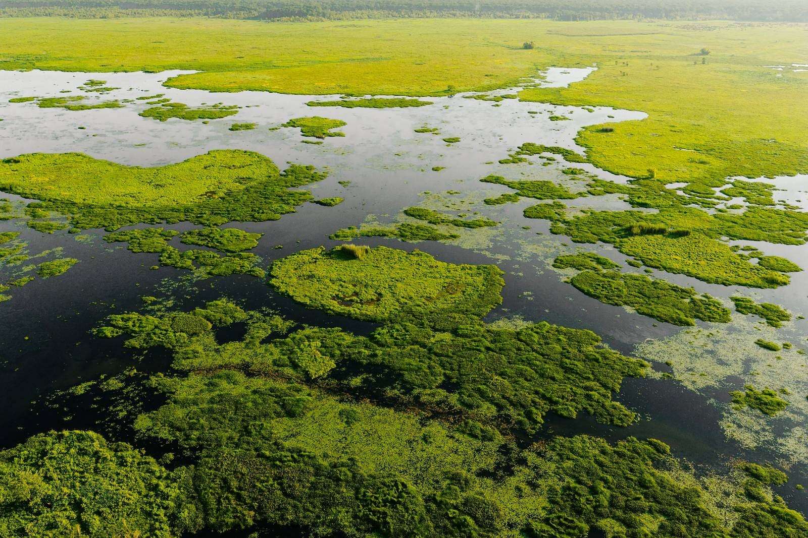 1,123 Acres of Recreational Land for Sale in Gibson, Louisiana