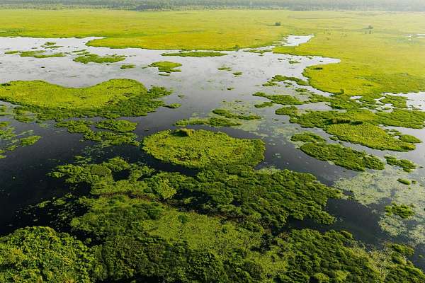 1,123 Acres of Recreational Land for Sale in Gibson, Louisiana