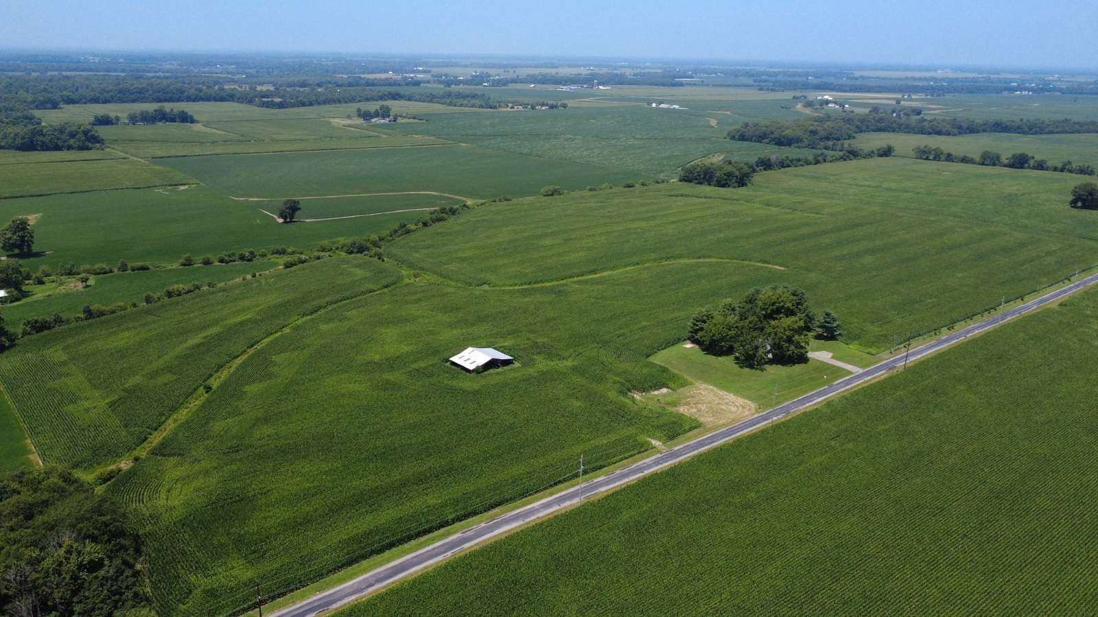 60 Acres of Improved Agricultural Land for Sale in Fairfield, Illinois