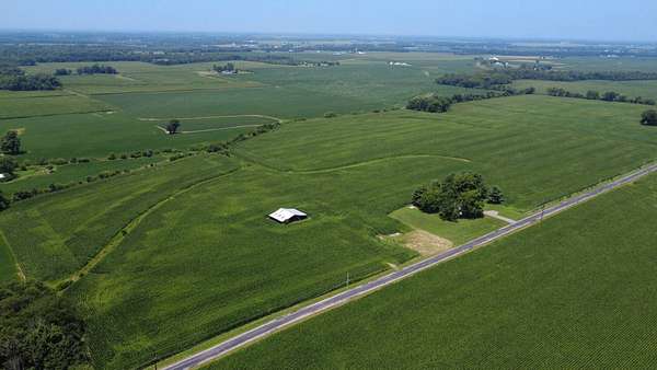 60 Acres of Improved Agricultural Land for Sale in Fairfield, Illinois