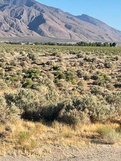 40 Acres of Recreational Land for Sale in Olancha, California