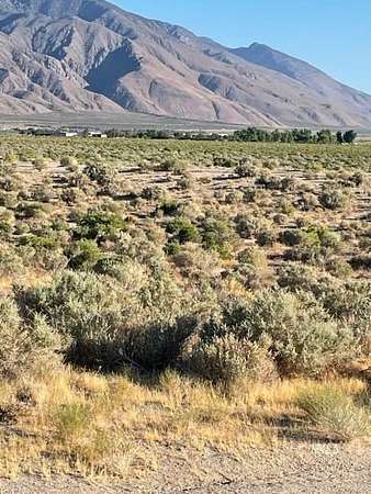 40 Acres of Recreational Land for Sale in Olancha, California