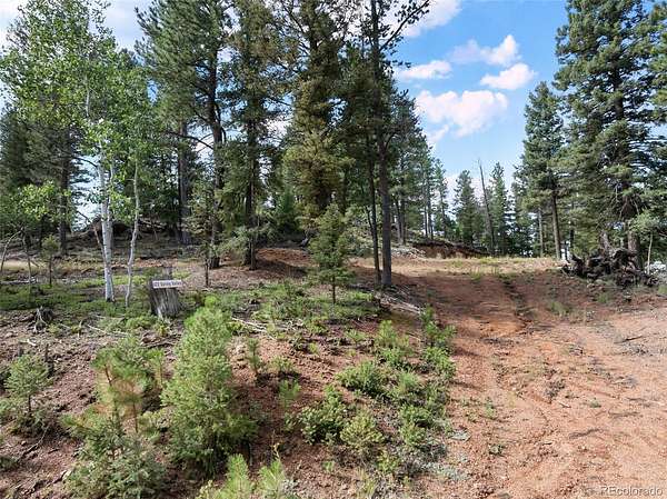 1.18 Acres of Residential Land for Sale in Divide, Colorado
