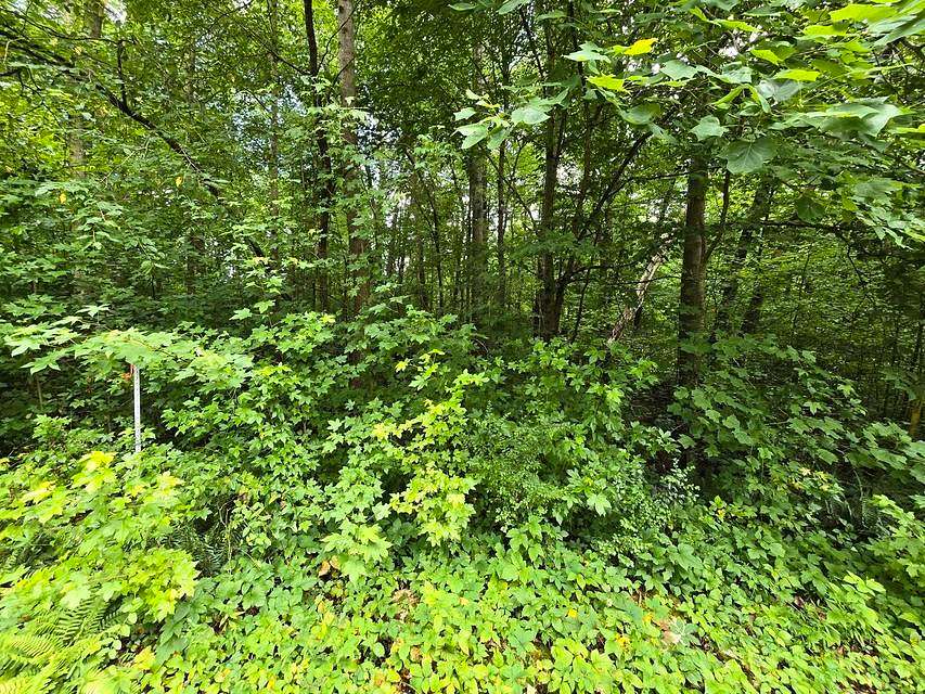0.72 Acres of Residential Land for Sale in Dunlap, Tennessee