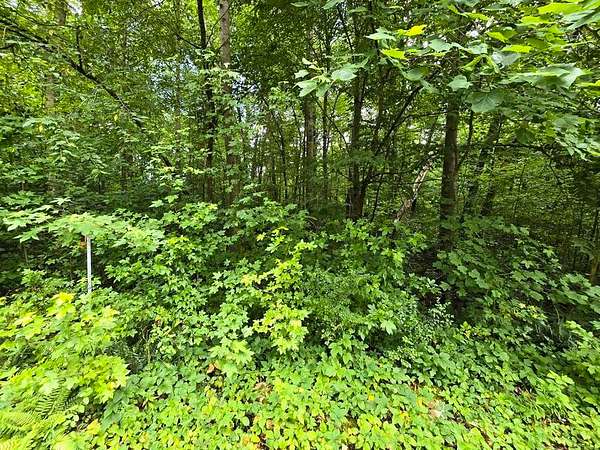 0.72 Acres of Residential Land for Sale in Dunlap, Tennessee