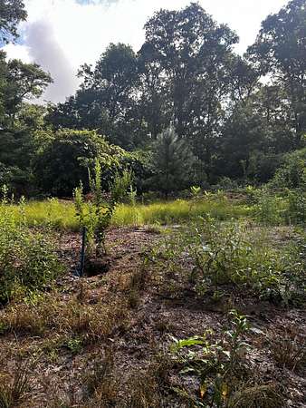 0.37 Acres of Residential Land for Sale in Teaticket, Massachusetts